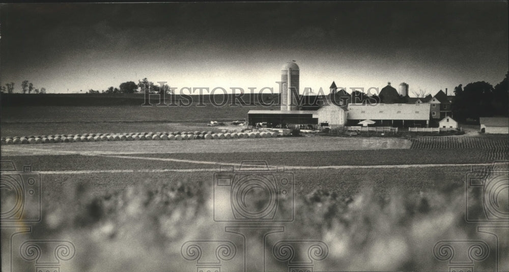 1979 Press Photo Rolls of hay at the Gregory Blaska farm, Marshall.- Historic Images