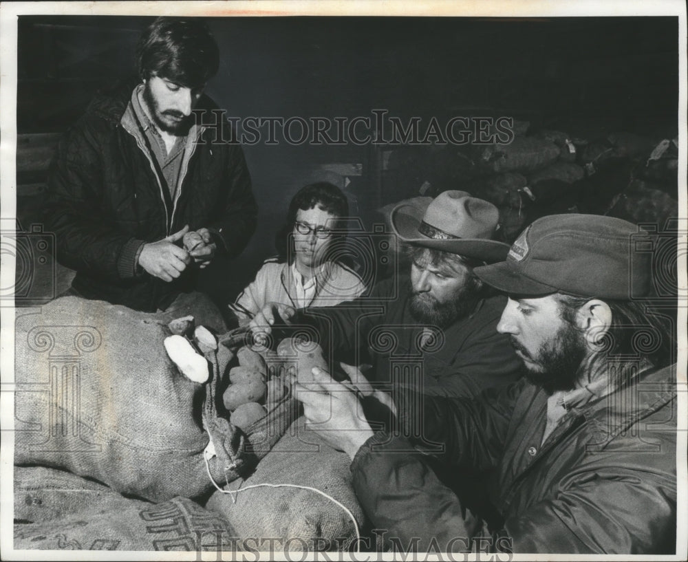 1978 Press Photo Mrs. Margaret Wolosek &amp; her brothers-in-law inspect potatoes- Historic Images