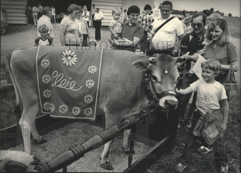 1984 Press Photo A young dairy fan made friends with Elsie the Cow - Historic Images