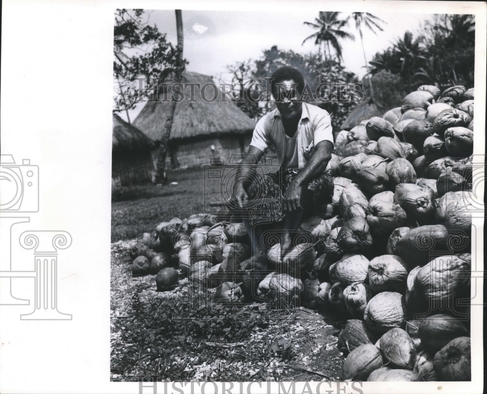 1958 Press Photo Fiji Islander&#39;s source of income from copra or husking coconuts- Historic Images