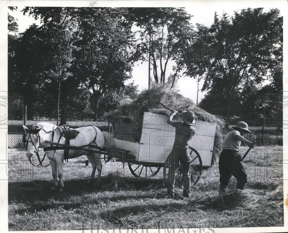 1941 Press Photo Boys Filling the Wagon with Hay in Manitowoc, Wisconsin- Historic Images