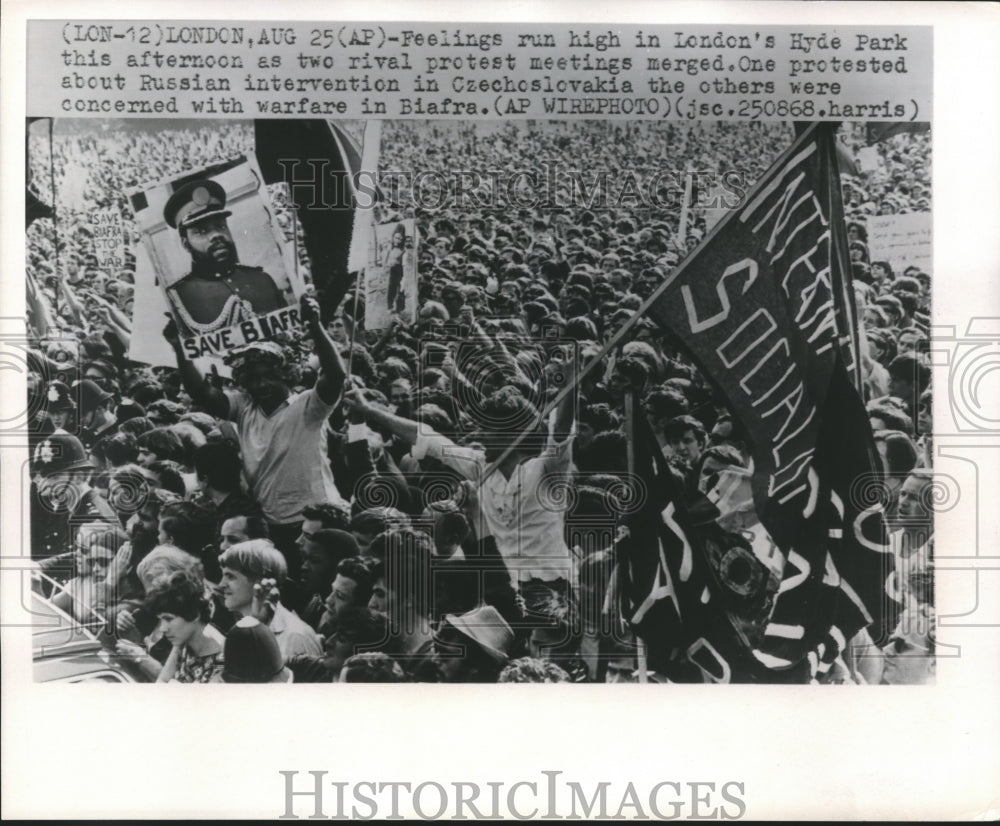 1968 Press Photo Rival groups of demonstrators in Hyde Park London - mjb04875- Historic Images