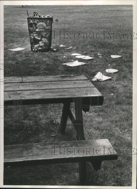 1963 Press Photo Lincoln Park Picnic Area