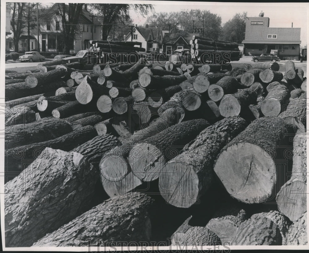1955 Press Photo Logs piled by Juneau depot shipped by rail to veneer factory- Historic Images
