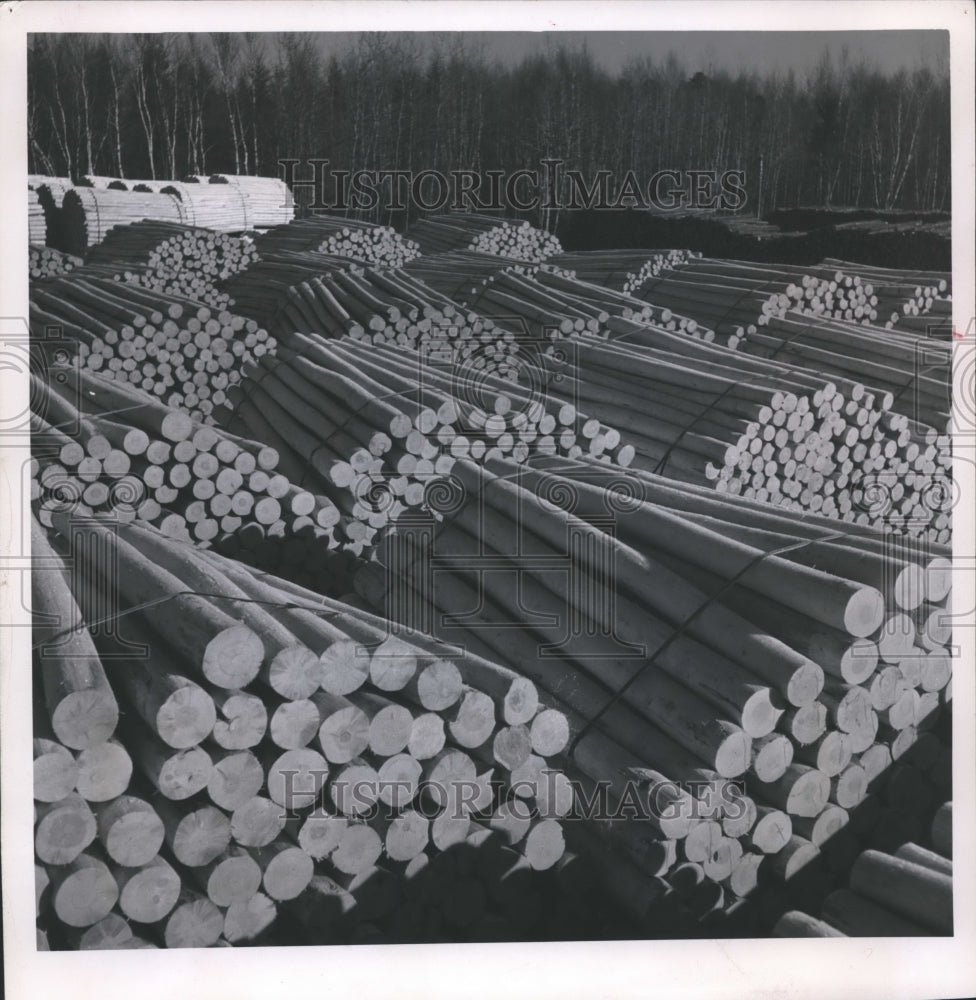 1955 Press Photo Jackpine posts from north Wisconsin await pressure treatment- Historic Images