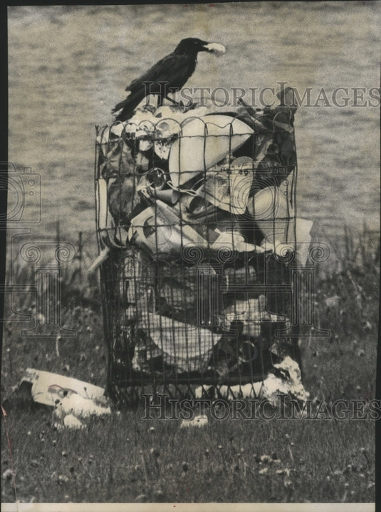 1961 Press Photo Wet crow in the rain at Lincoln Park - mjb09691- Historic Images