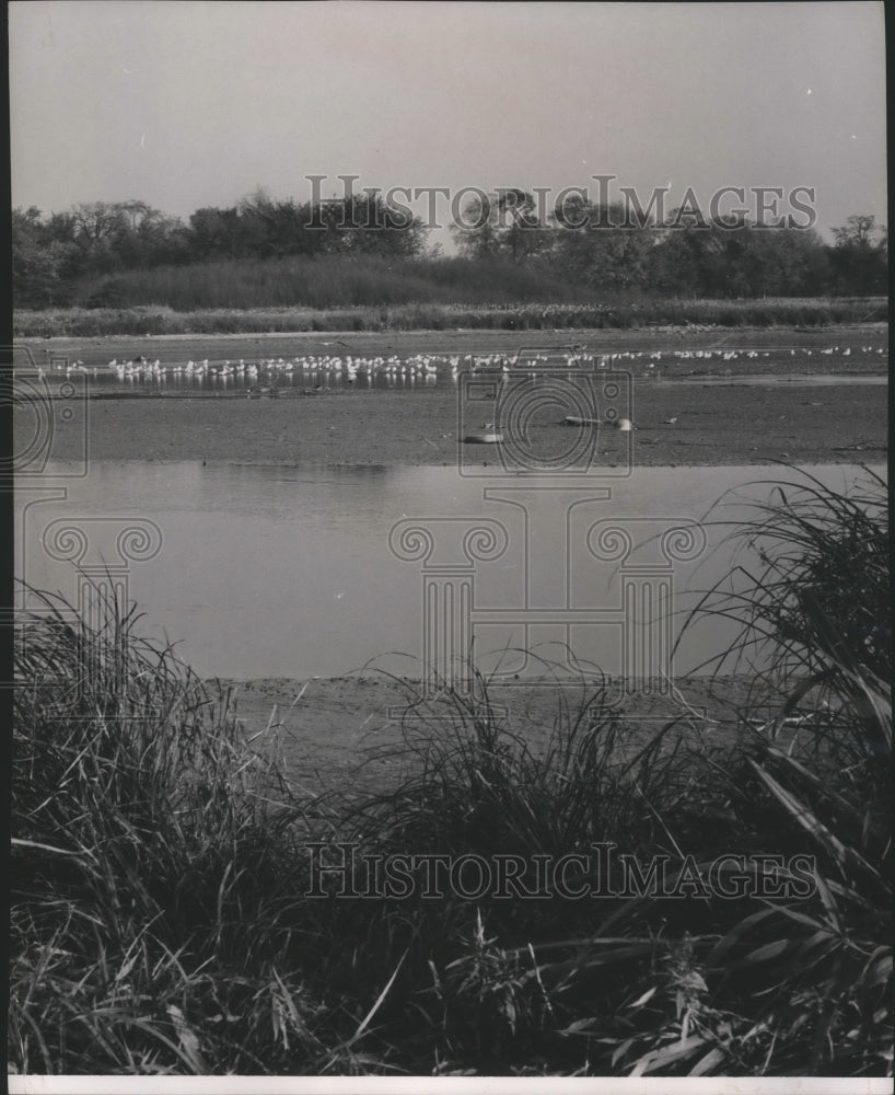 1954 Press Photo Beach at north end of Lincoln park in Milwaukee - mjb09693- Historic Images