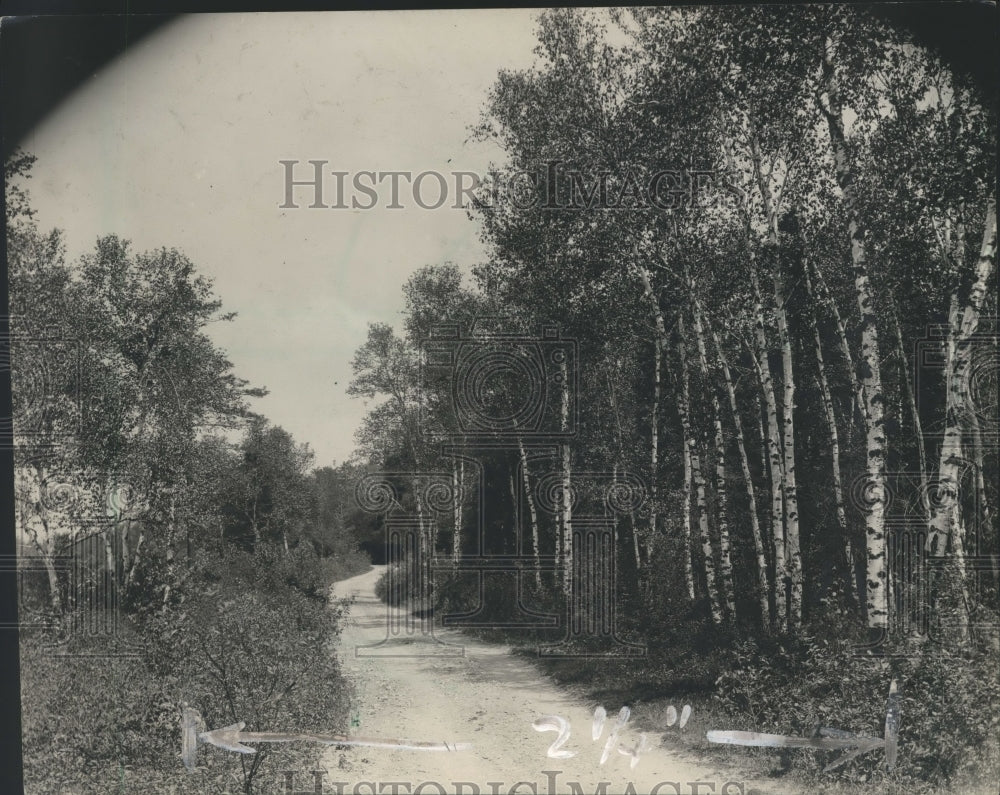 1927 Press Photo Dirt Road Through Forest, Land For Sale in Wisconsin- Historic Images