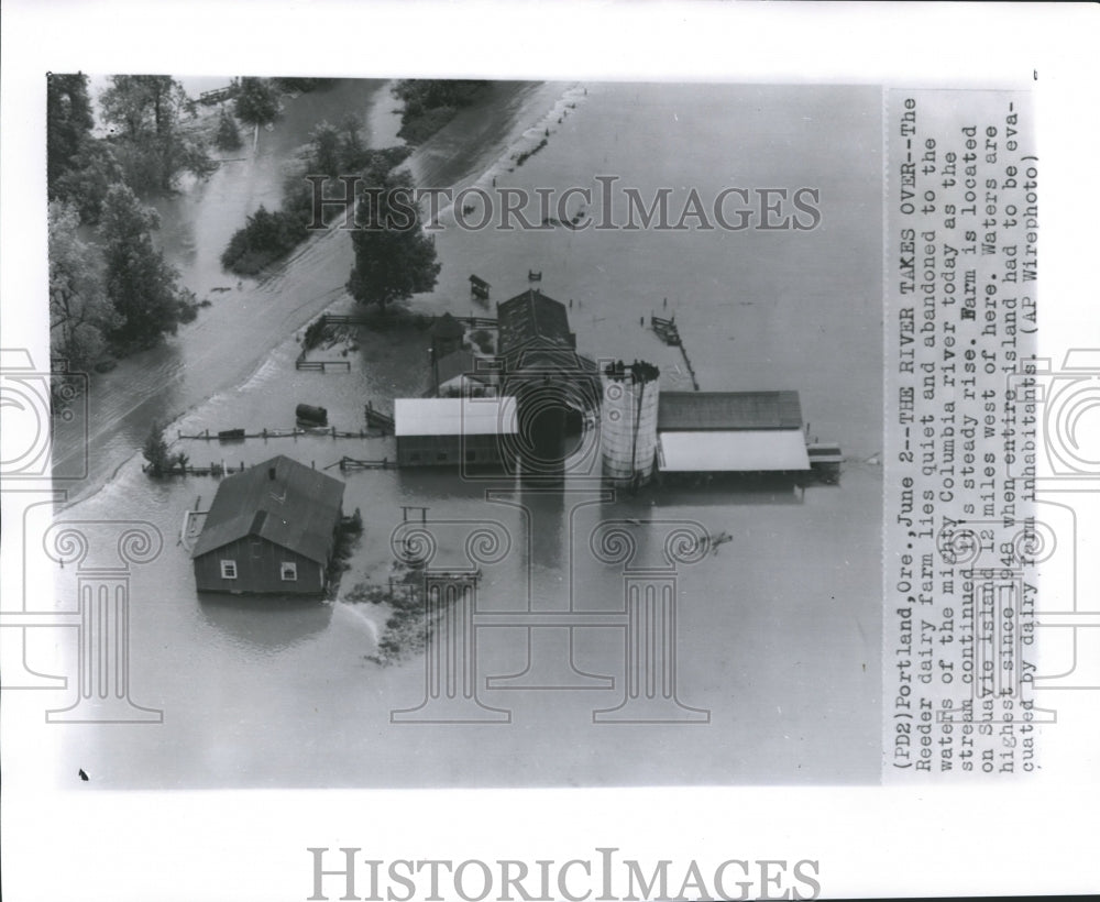 1956 Press Photo Dairy farm flooded by the Columbia river in Oregon- Historic Images