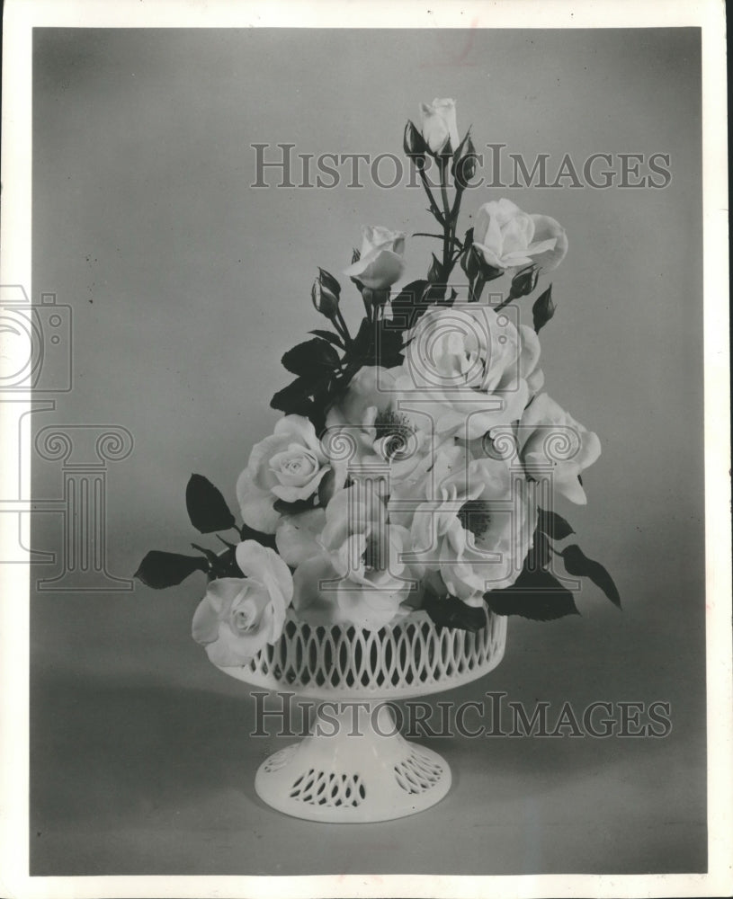 1958 Press Photo Ivory Fashion rose, it has won more awards than any other rose- Historic Images