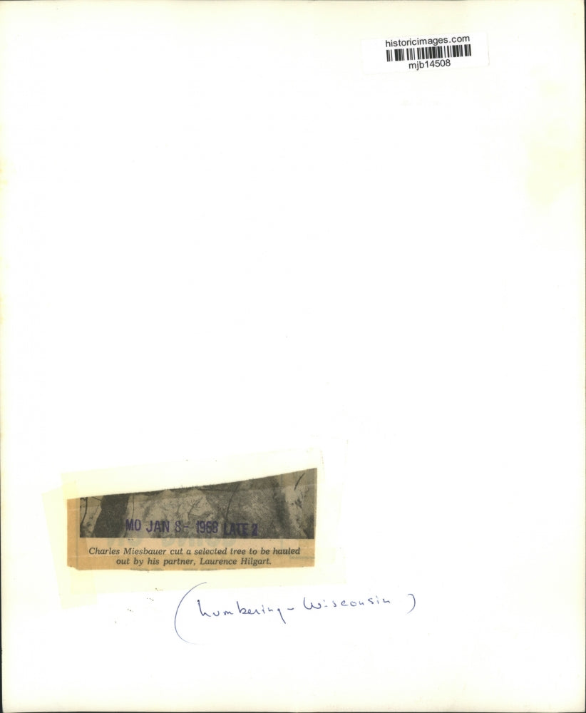 1968 Press Photo Charles Miesbauer, logger, cuts a tree for harvest, Wisconsin