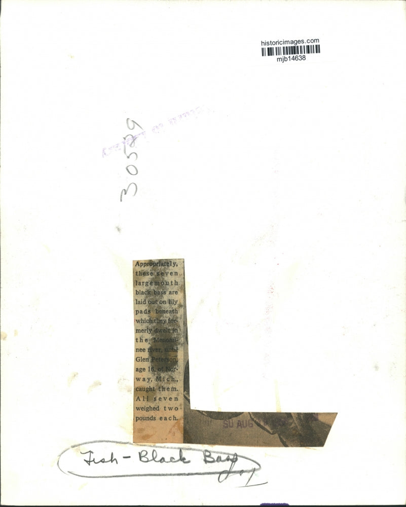 1957 Press Photo Black Bass Caught by Glen Peterson on the Menomonee River