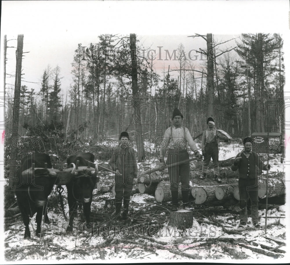 1890 Press Photo Loggers pose for traveling photographer with tools and oxen- Historic Images