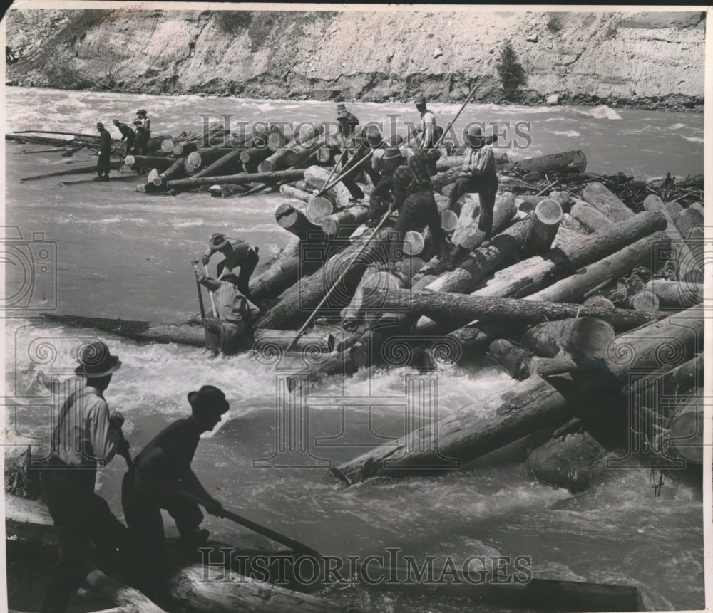 1951 Press Photo Lumberjack Being Helped Out of the River After Slipping- Historic Images