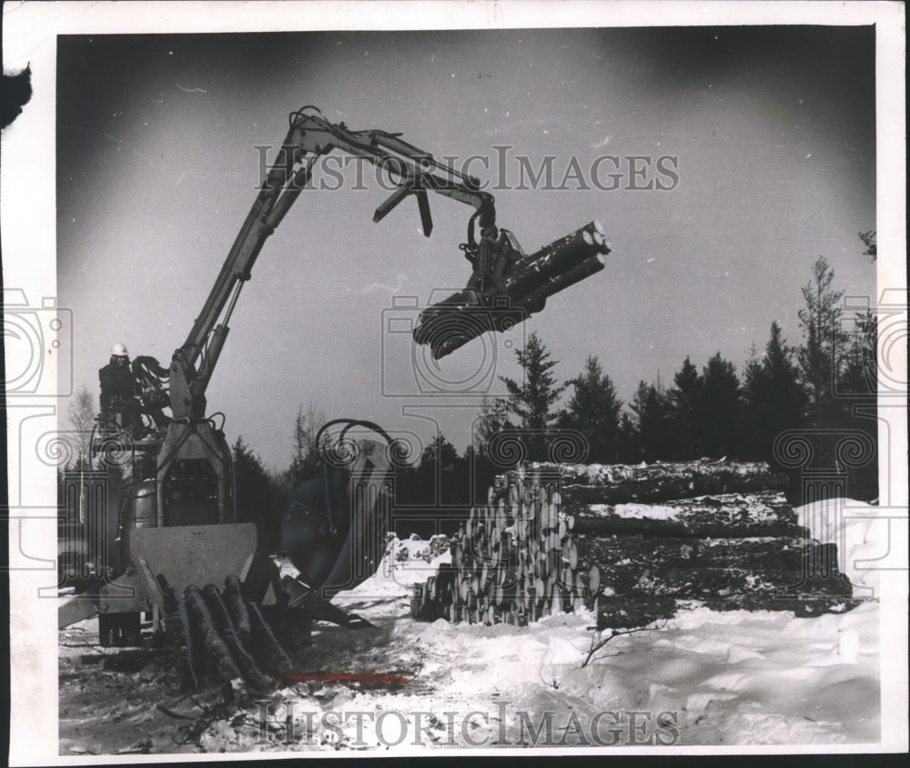 1970 Press Photo Lumberjack Dennis Fink Using a Hoist and Slasher for Logging