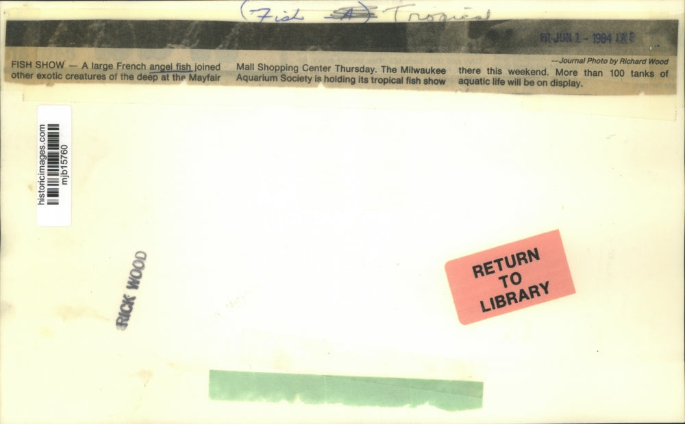 1984 Press Photo French angel fish joins other exotic creatures at Mayfair Mall