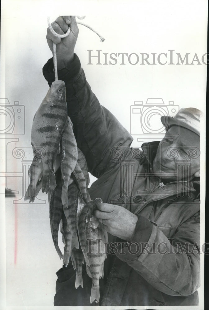 1964 Press Photo John Karda, fishing guide displays a catch of perch, Michigan.- Historic Images