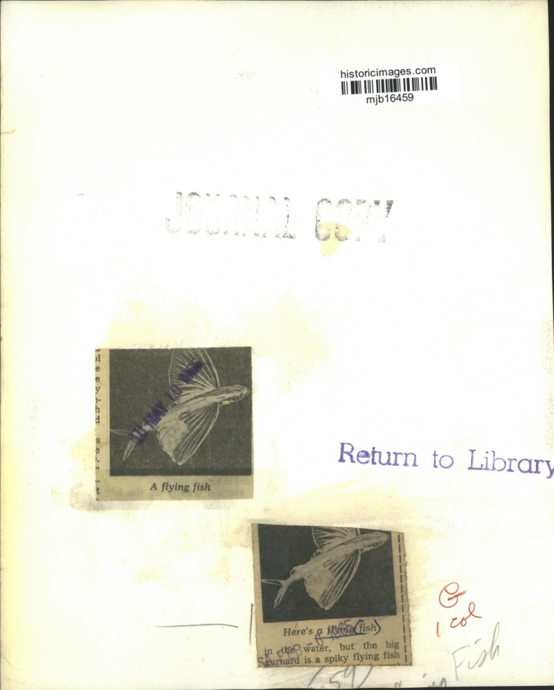 1965 Press Photo Above View of Flying Fish in Water - mjb16459