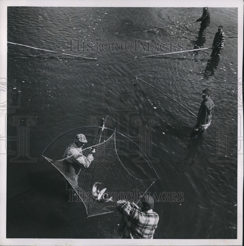 1953 Press Photo Fishermen Dip Net at Little Suamico River, North of Green Bay- Historic Images