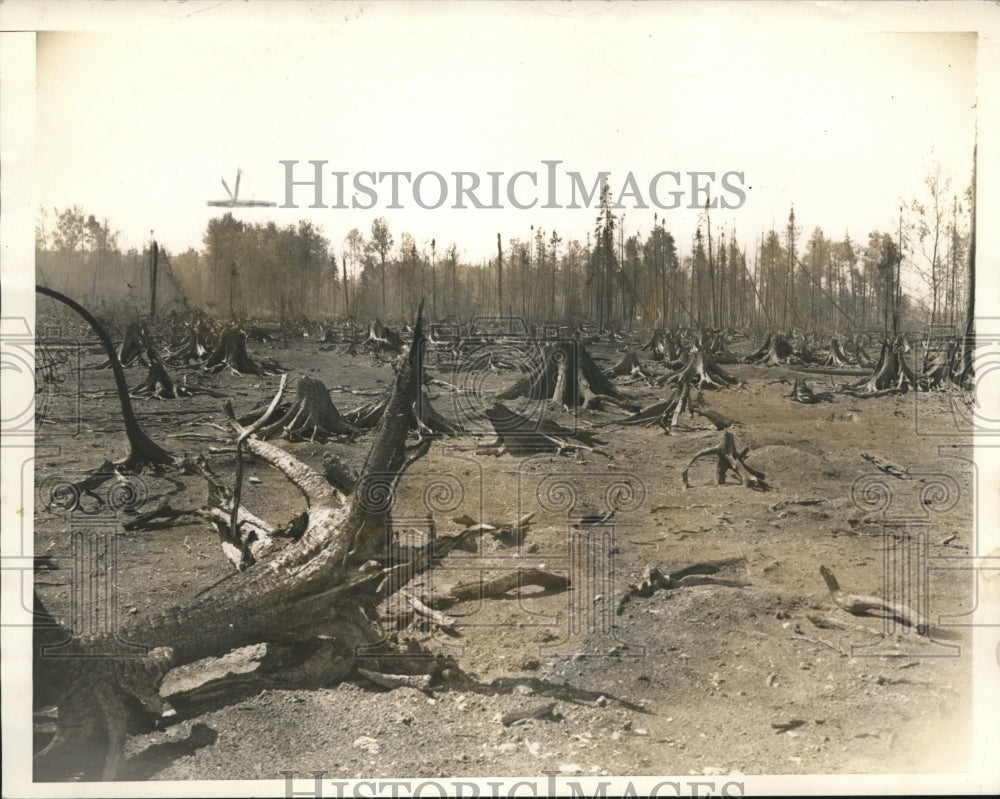 1936 Press Photo The aftermath of a forest fire near Aurora, Minnesota- Historic Images