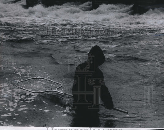 1963 Press Photo State Fisheries Biologist wades in Wolf River in Wisconsin- Historic Images