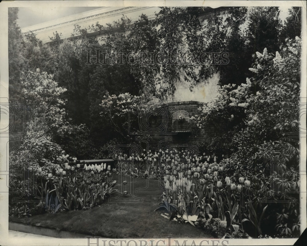 1931 Press Photo Marshall Field&#39;s shrub garden at International flower show- Historic Images