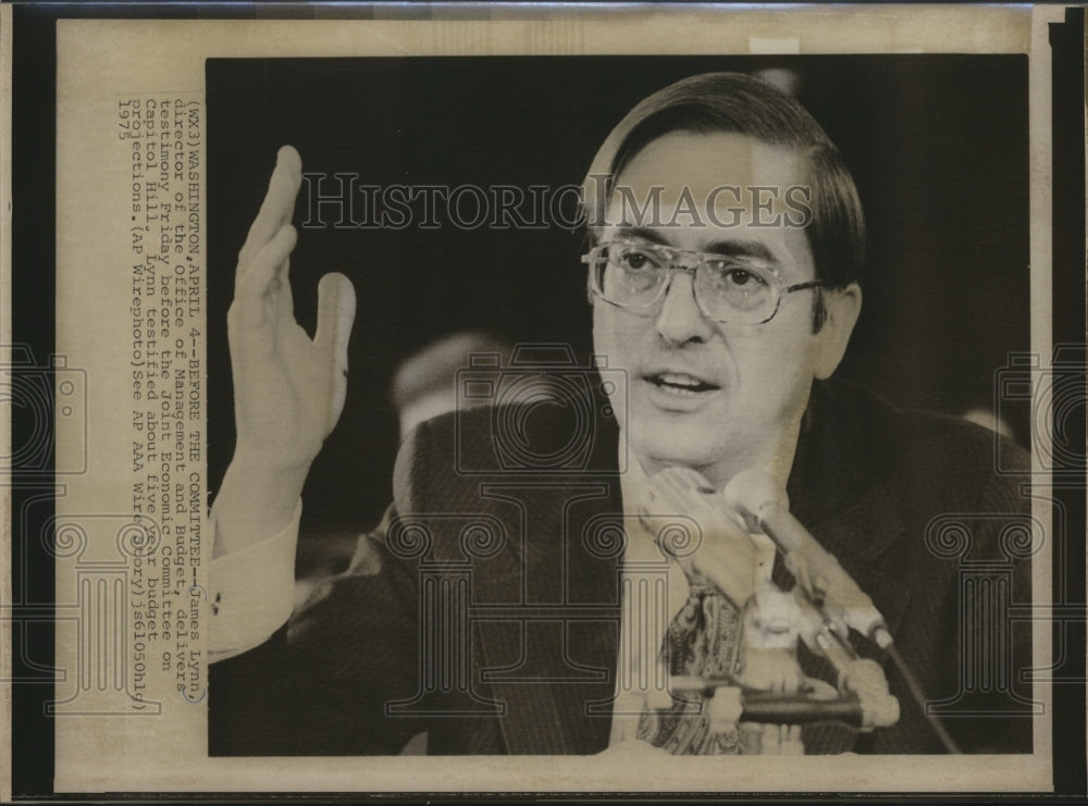 1975 Press Photo James Lynch offers budget projections, Joint Economic Committee