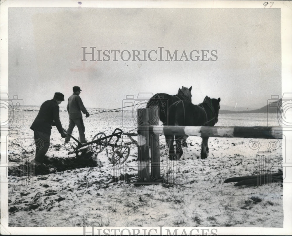 1951 Press Photo Farmers at Setzelback Village Rhoen Mountains Germany