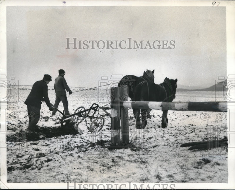 Load image into Gallery viewer, 1951 Press Photo Farmers at Setzelback Village Rhoen Mountains Germany
