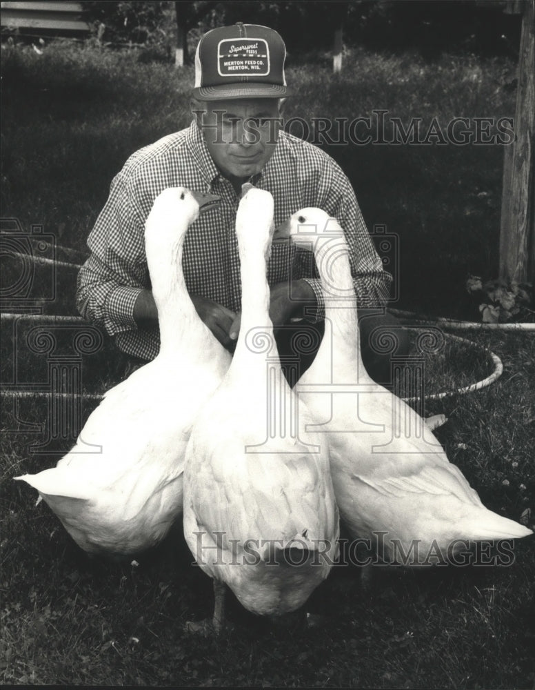 1991 Press Photo Tony Drew is Greeted by Three of his Seven Pet Geese- Historic Images