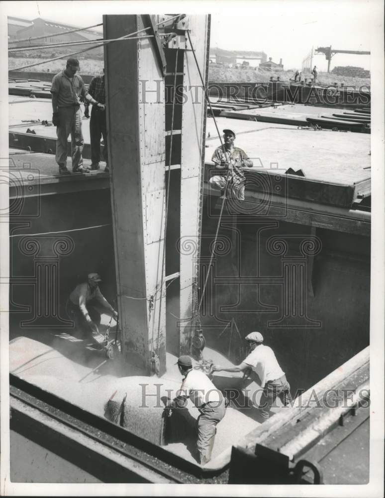 1956 Press Photo Workers shovel wheat from barge into an elevator in Chicago.