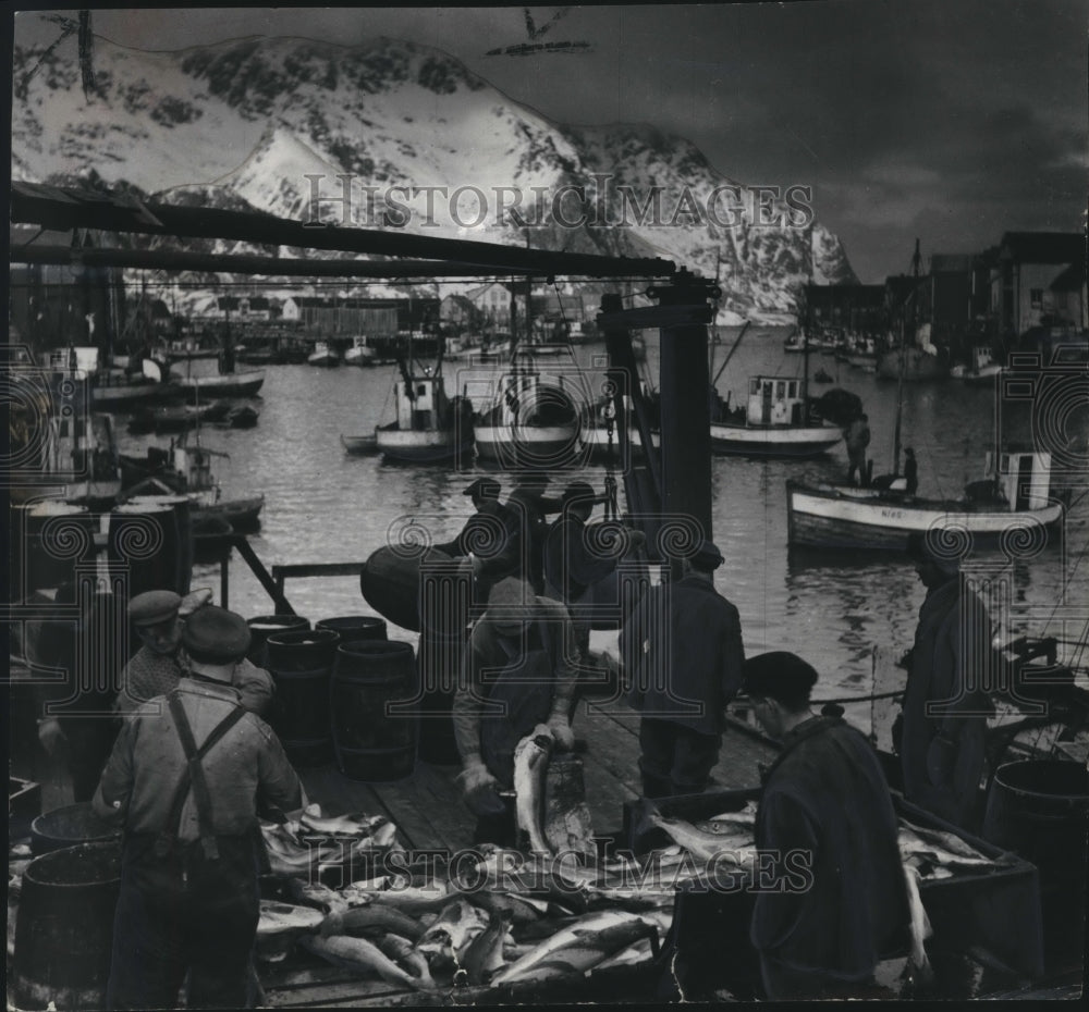 1947 Press Photo Fish are unloaded at the piers, rinsed and dried, Norway.- Historic Images