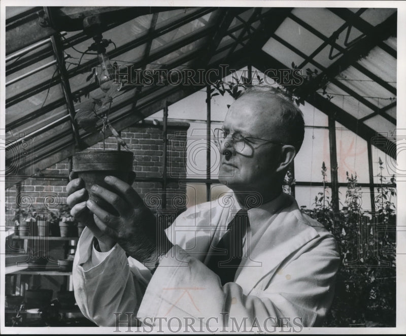 Load image into Gallery viewer, 1960 Press Photo Herman Geske, Milwaukee Biology Instructor and Televsion Host
