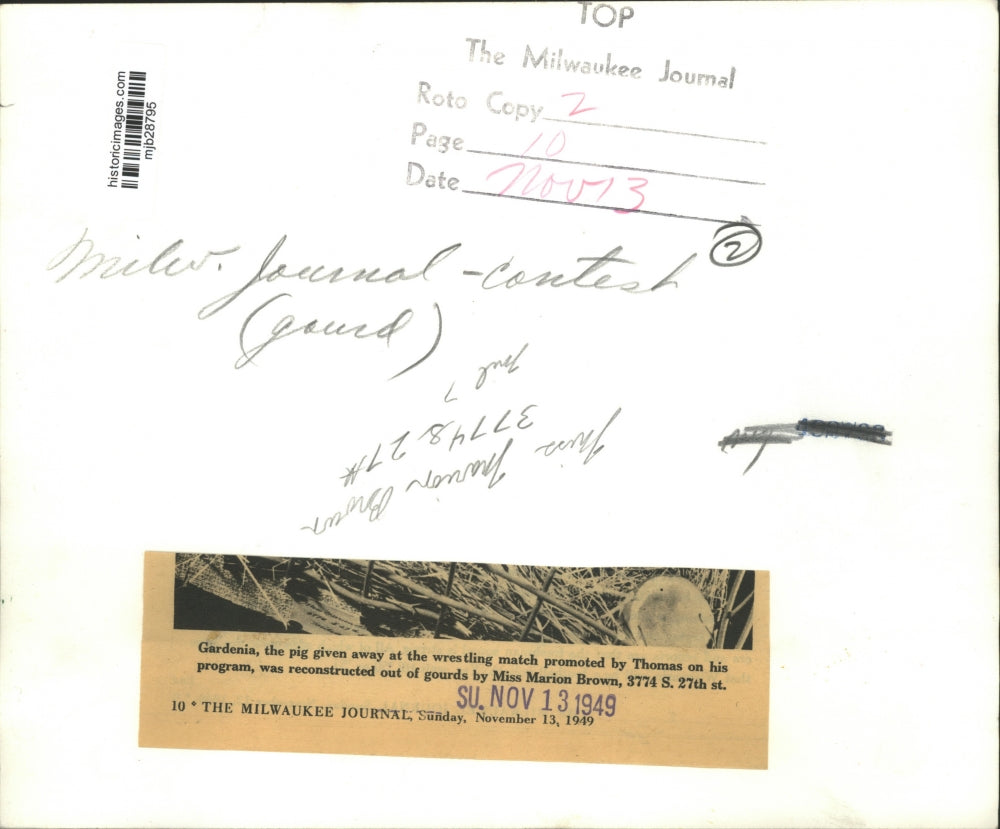 1949 Press Photo Marion Brown made this pig out of gourds; Milwaukee, Wisconsin