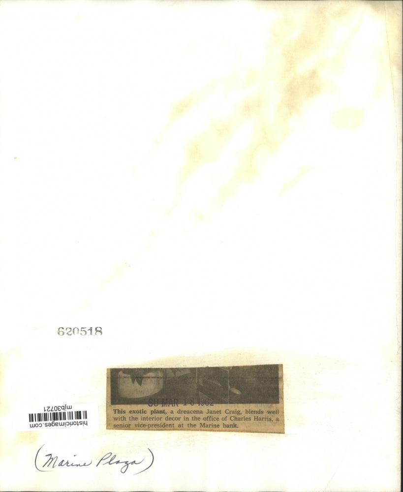 1962 Press Photo Charles Harris, senior VP at Marine Bank in office with plant