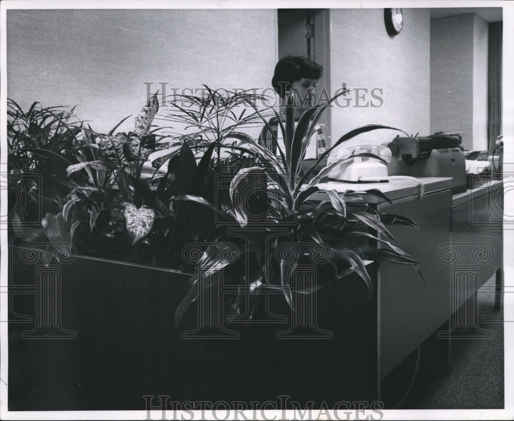 1962 Press Photo Jean Jacobs , Marine National Exchange Bank Building Office