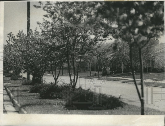 1967 Press Photo Flowering Trees in Menomonee Falls, Shady Lane Residential Area- Historic Images