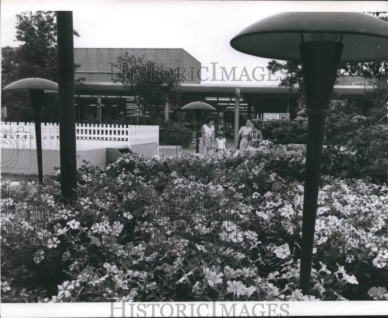 Load image into Gallery viewer, 1961 Press Photo Lush Landscaping at Mayfair Shopping Center, Wauwatosa
