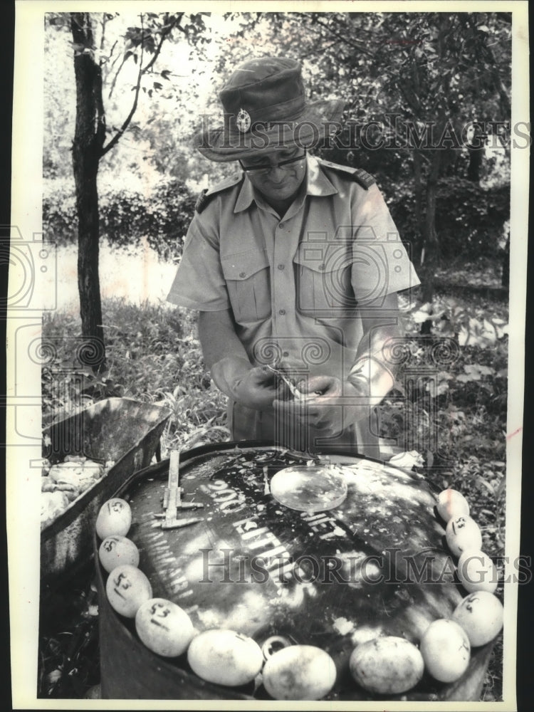 1980 Press Photo David Blake checks crocodile eggs at a crocodile ranch; Africa
