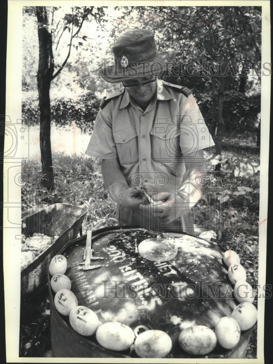 1980 Press Photo David Blake checks crocodile eggs at a crocodile ranch; Africa