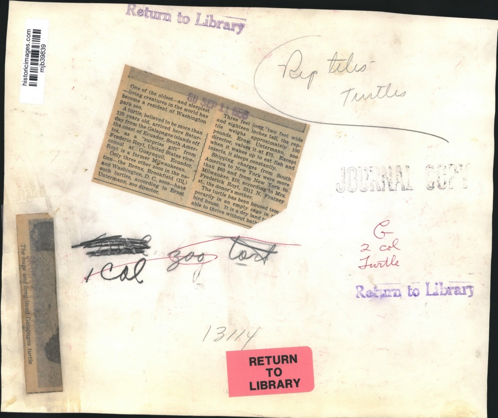 1968 Press Photo Turtle from Galapagos Islands arrived at Washington Park Zoo.