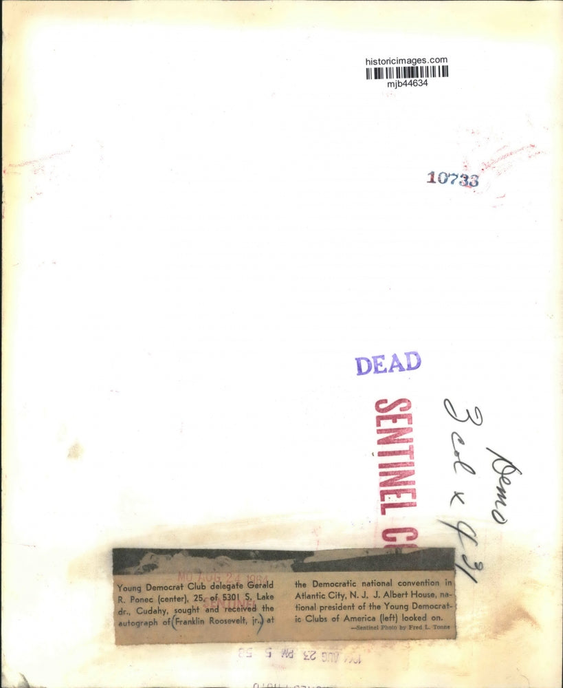 1964 Press Photo Franklin D. Roosevelt Jr. at the Democratic Convention