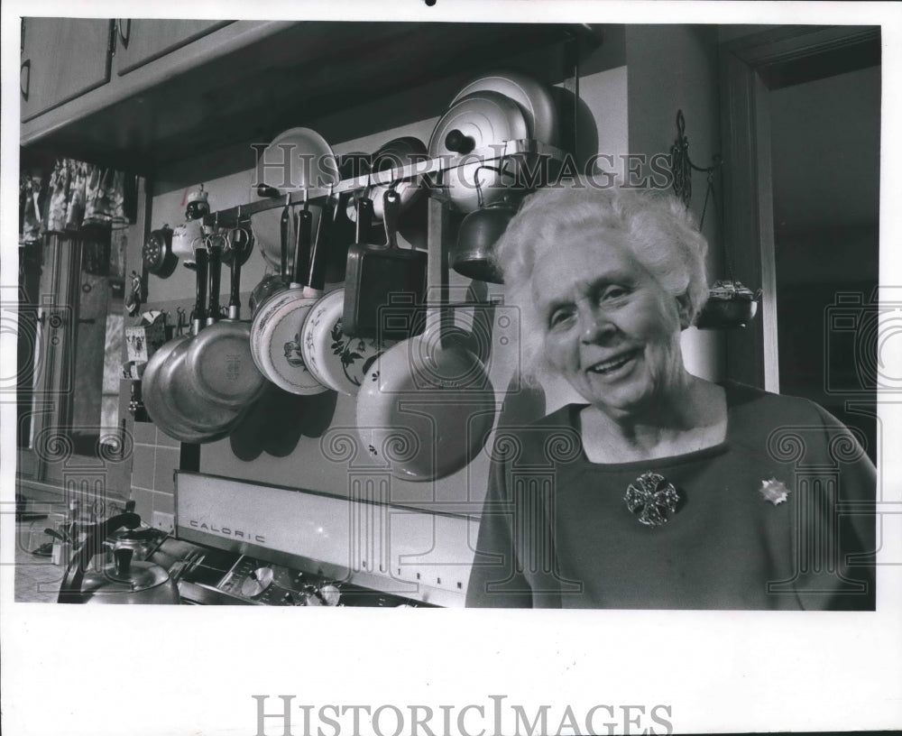 1970 Press Photo Breta Griem shown in kitchen of her home in Fox Point