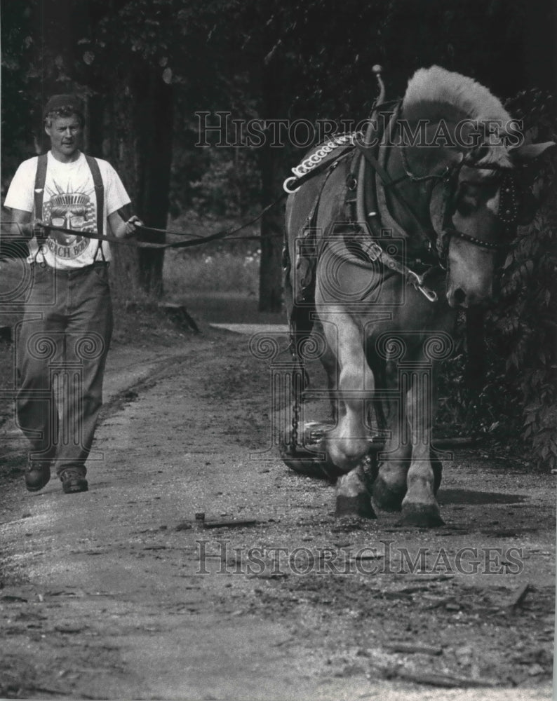 1992 Press Photo Chuck Hanf works his Belgian draft horse near Two Rivers.- Historic Images