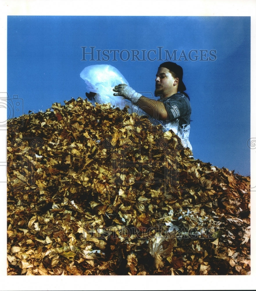 1993 Press Photo David Harrison, Brown Deer&#39;s recycling center empties leaf bags- Historic Images