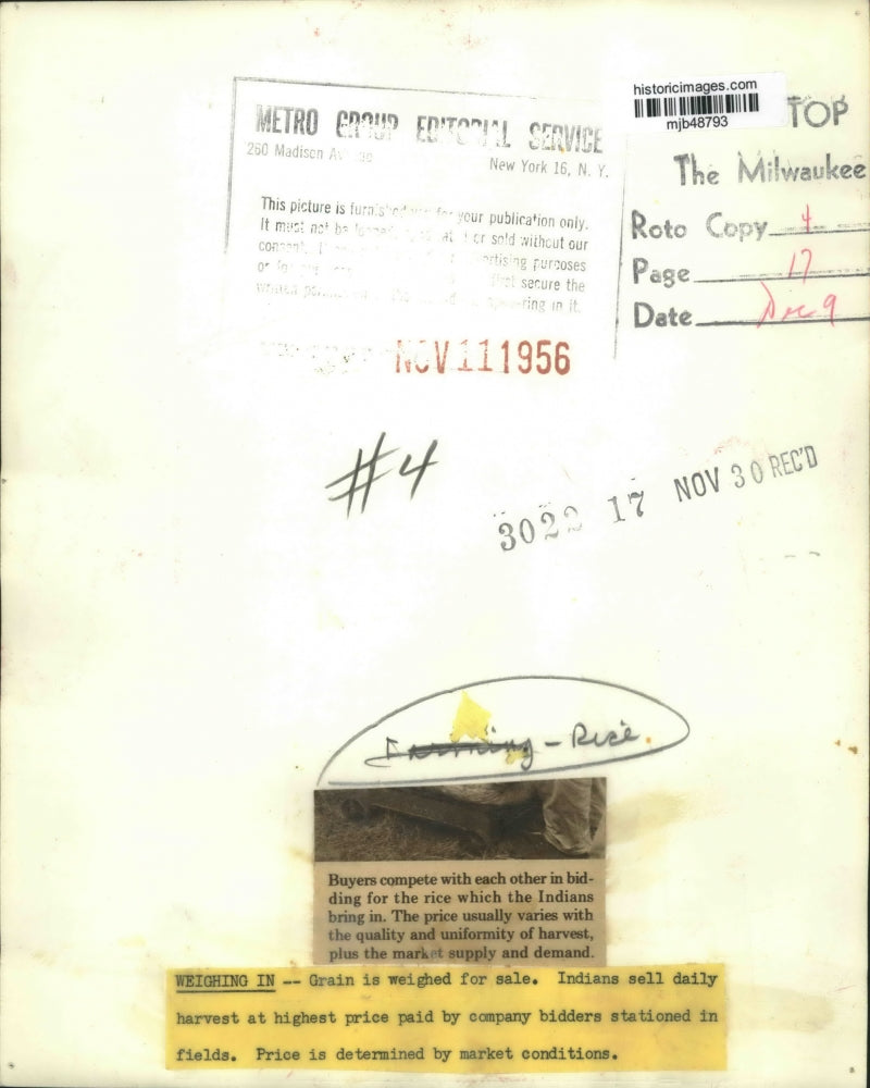 1956 Press Photo Indians weigh grain for sale at market, buyers will bid.