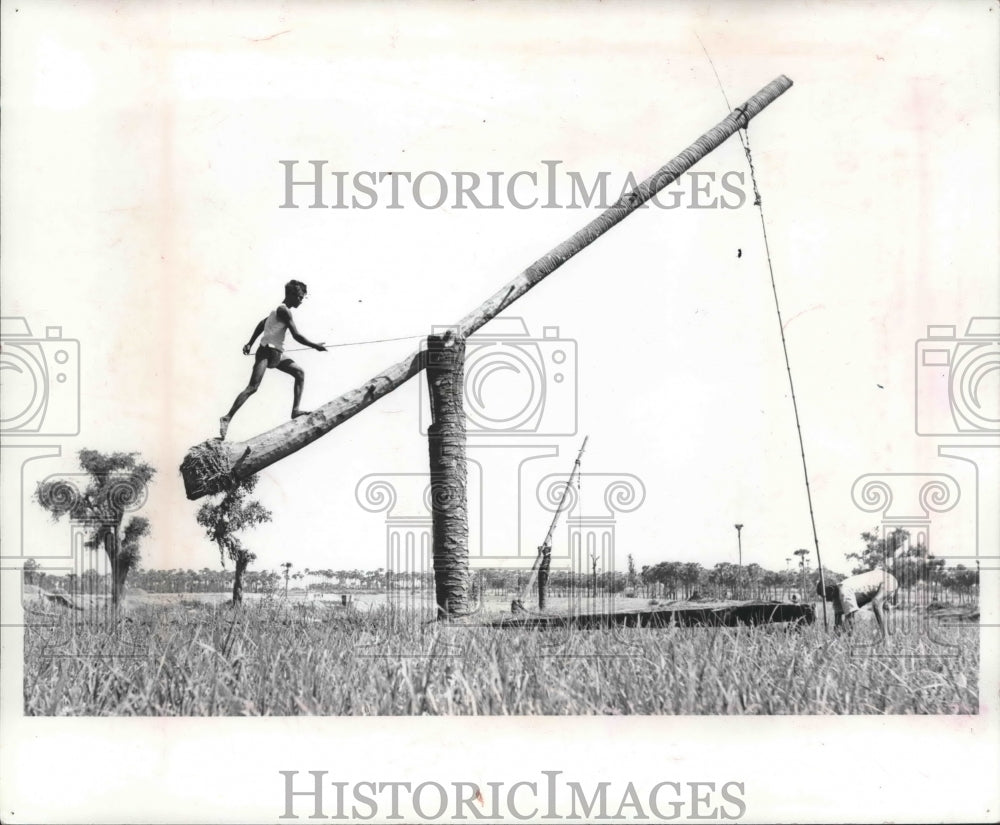 1965 Press Photo Rice farmers use primative methods to pump water from a well
