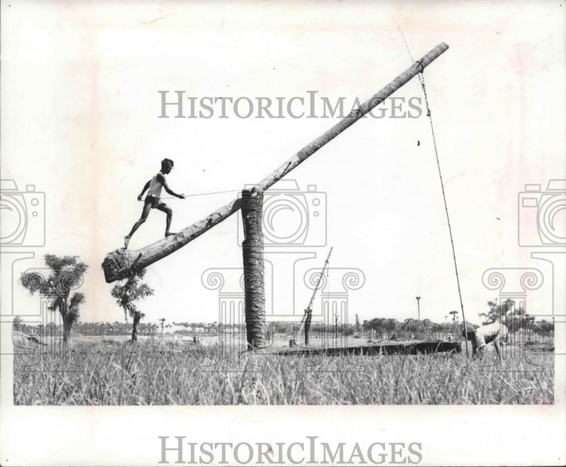 Load image into Gallery viewer, 1965 Press Photo Rice farmers use primative methods to pump water from a well
