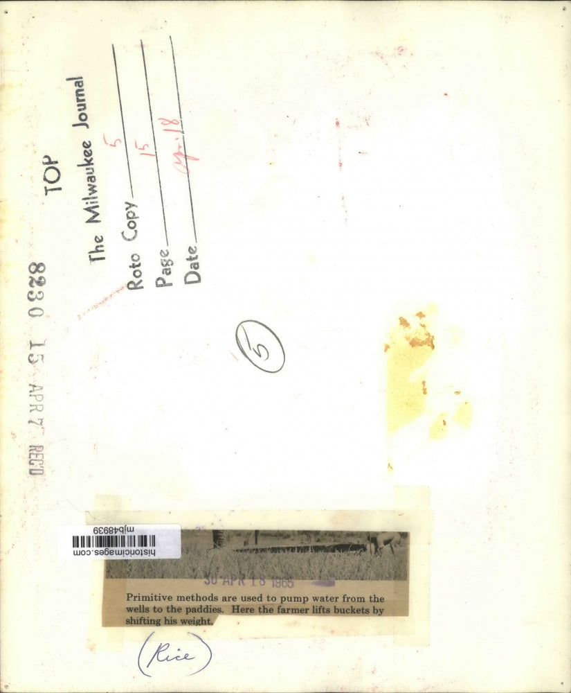 1965 Press Photo Rice farmers use primative methods to pump water from a well