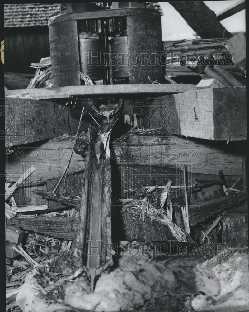 1951 Press Photo Cane stalks pressed into molasses at Van Buren, Missouri mill- Historic Images